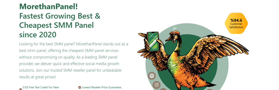 MoreThanPanel Official